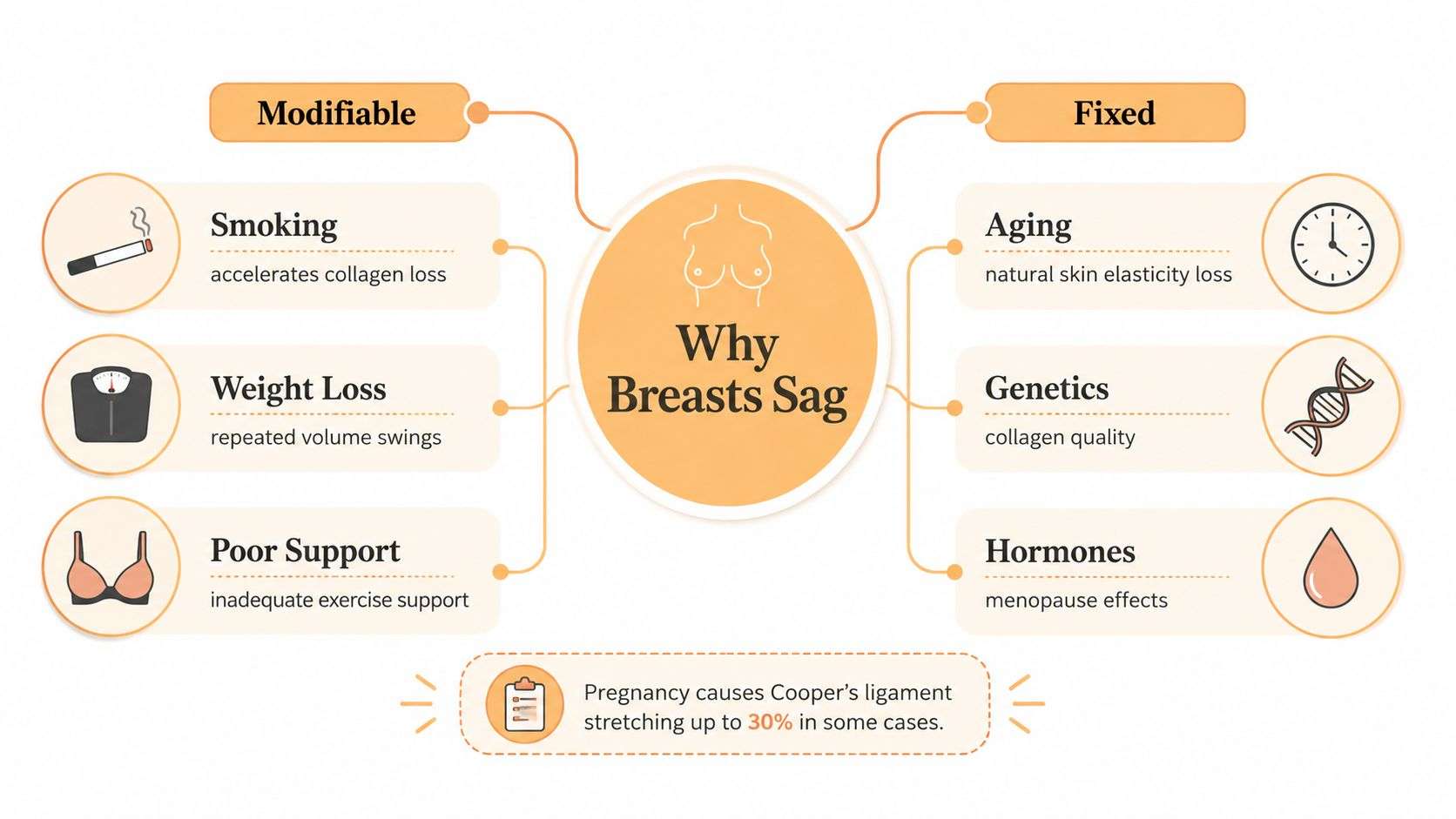 A diagram categorizing the causes of breast sagging into modifiable lifestyle factors and fixed biological factors.